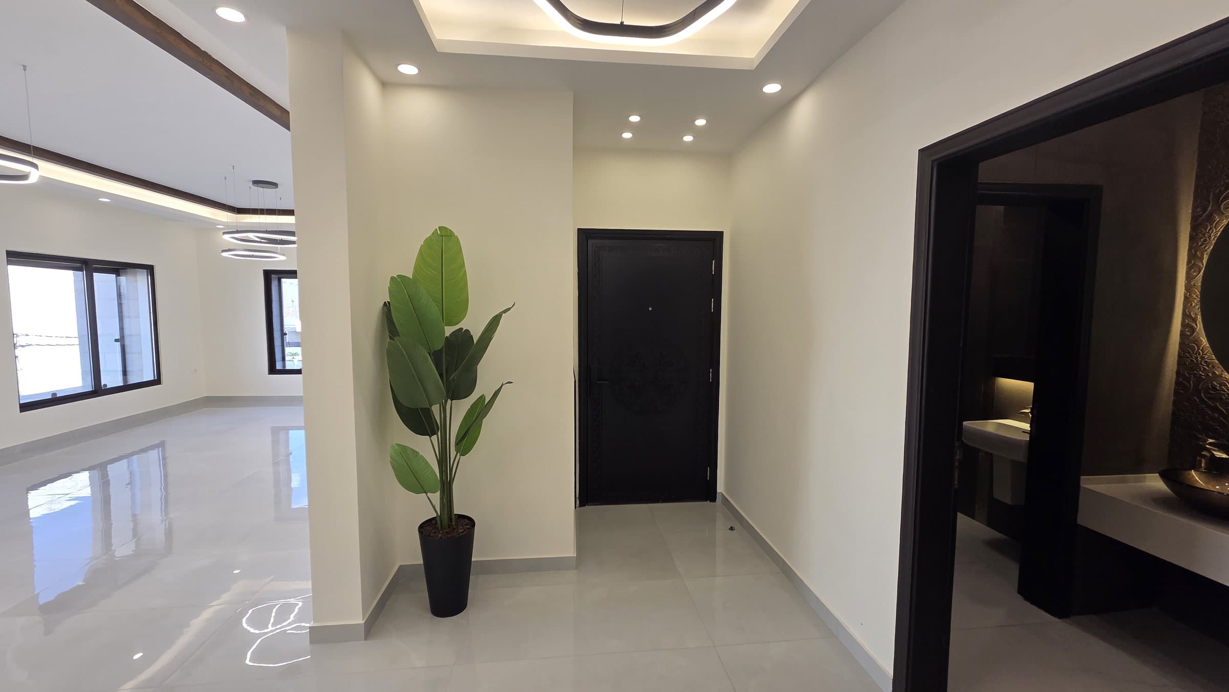 Residence 201 — Entrance opposite side showing on right the guest bathroom and on left the salon